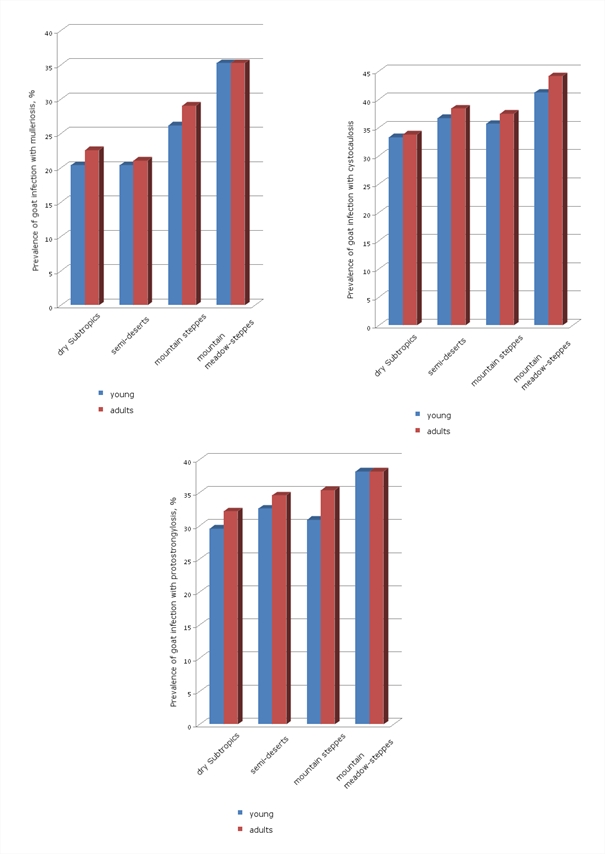 Rate of infection of small ruminants of various age groups from different landscap zones of Armenia with Protostrongylidae (goats)